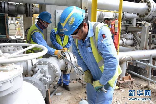 攜手共進，開創未來 科威特王子與中國伙伴的戰略合作探索